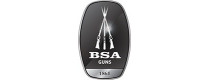 BSA